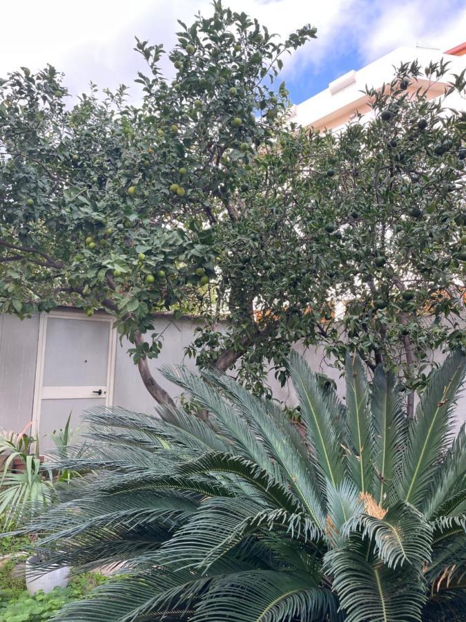 Tangerine Tree House Apartment Cagliari Bagian luar foto