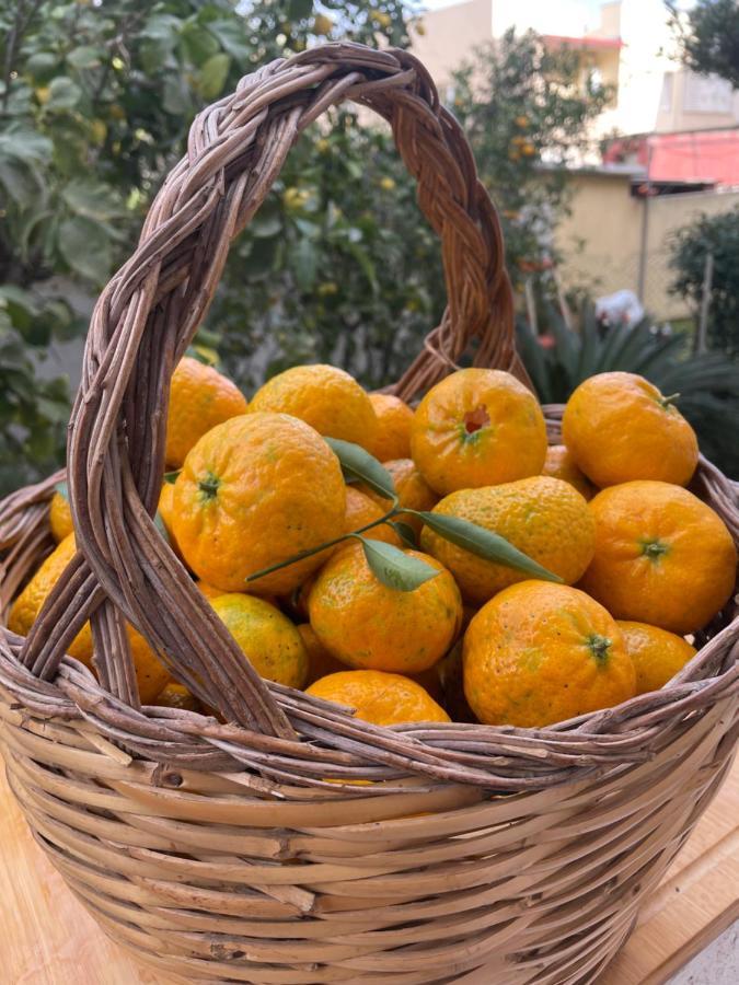 Tangerine Tree House Apartment Cagliari Bagian luar foto
